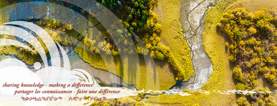 Carte interactive des liens en santé 