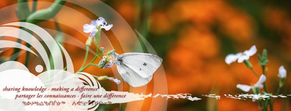 Calendrier des événements 