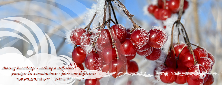 Bulletin saisonnier du CCNSA