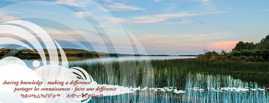 Maladies infectieuses et chroniques