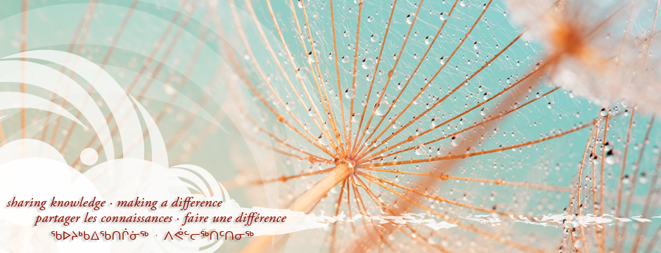 Déterminants sociaux de la santé