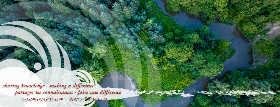 Savoir(s) autochtone(s) et santé publique