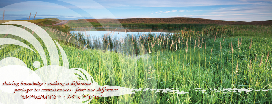 Sécurité culturelle et relations respectueuses