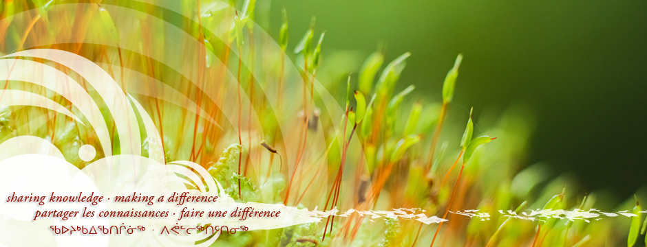 Terre en santé, collectivités en santé 