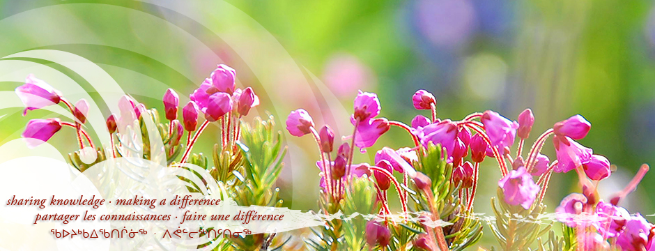 Bulletin saisonnier du CCNSA