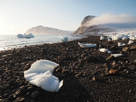 Plage du fjord Grise, île d'Ellesmere, Nunavut, Arctique canadien