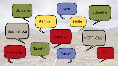 Crédit image : CCNSA.